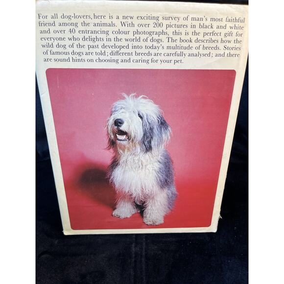 Vintage The Beauty of Dogs by Kenneth Bailey London England w Dust Jacket 1972 - Picture 3 of 13
